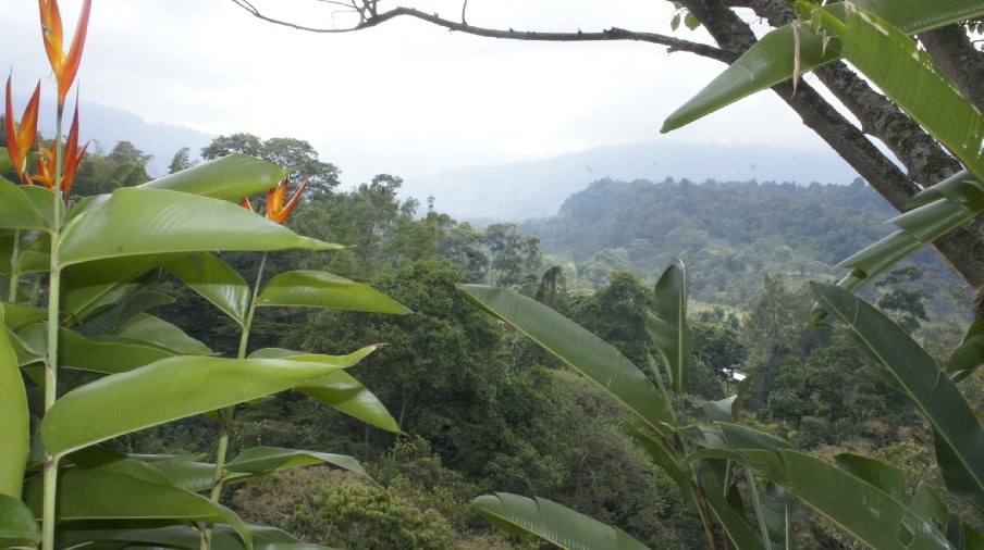 1*3SWz4-N9nOSLaFStK-MiLg