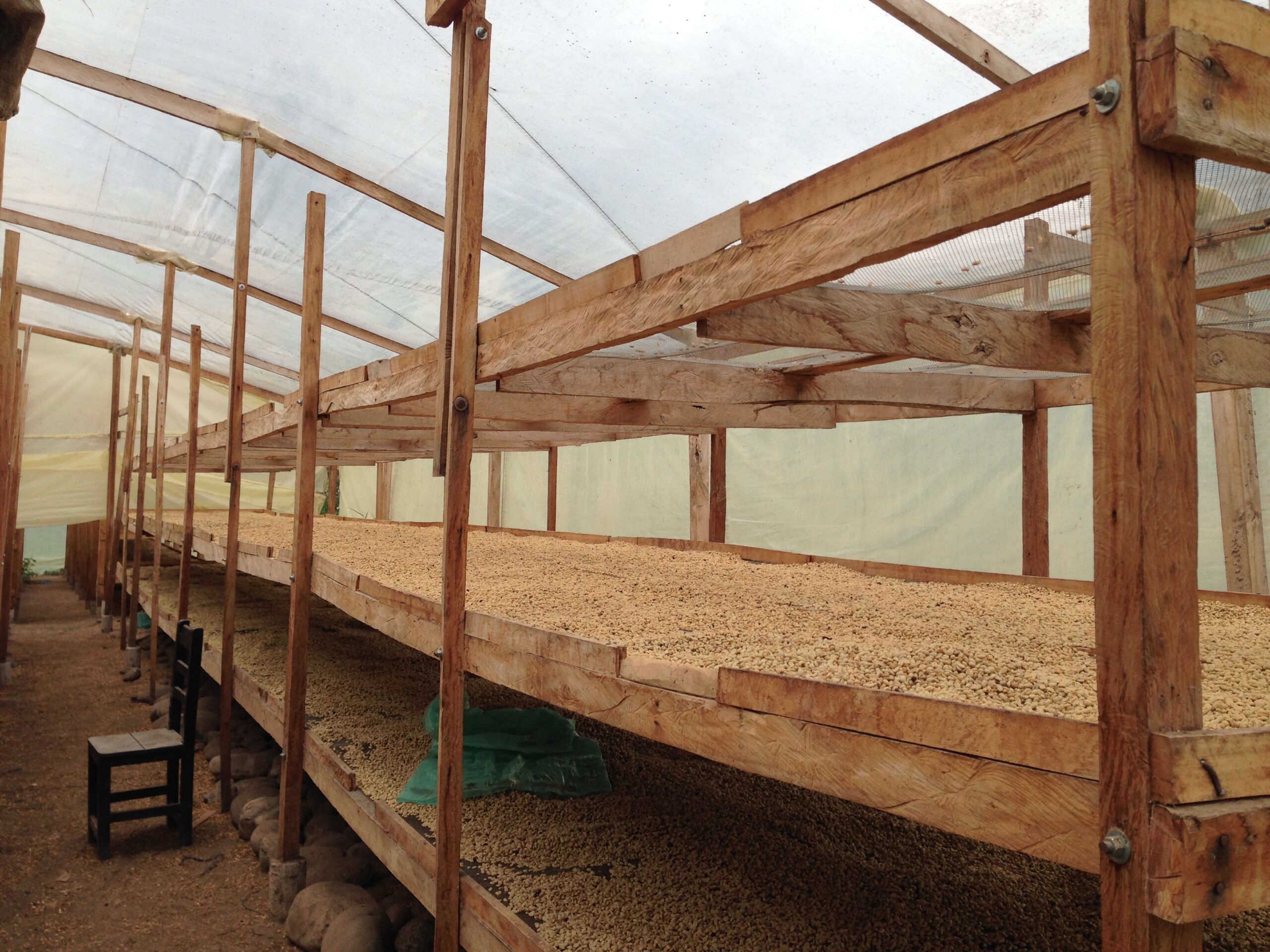 Primavera Francisco 2014 (7)