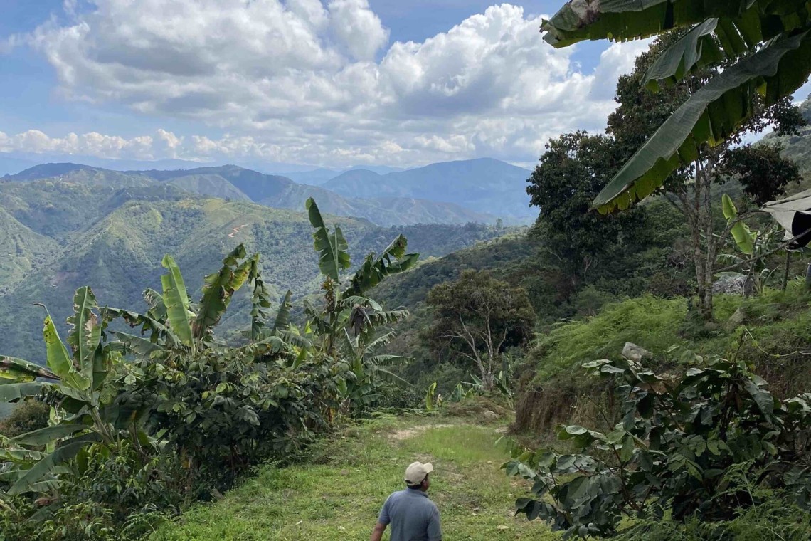 LA FORTUNA VISTA 2