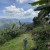 LA FORTUNA VISTA 2