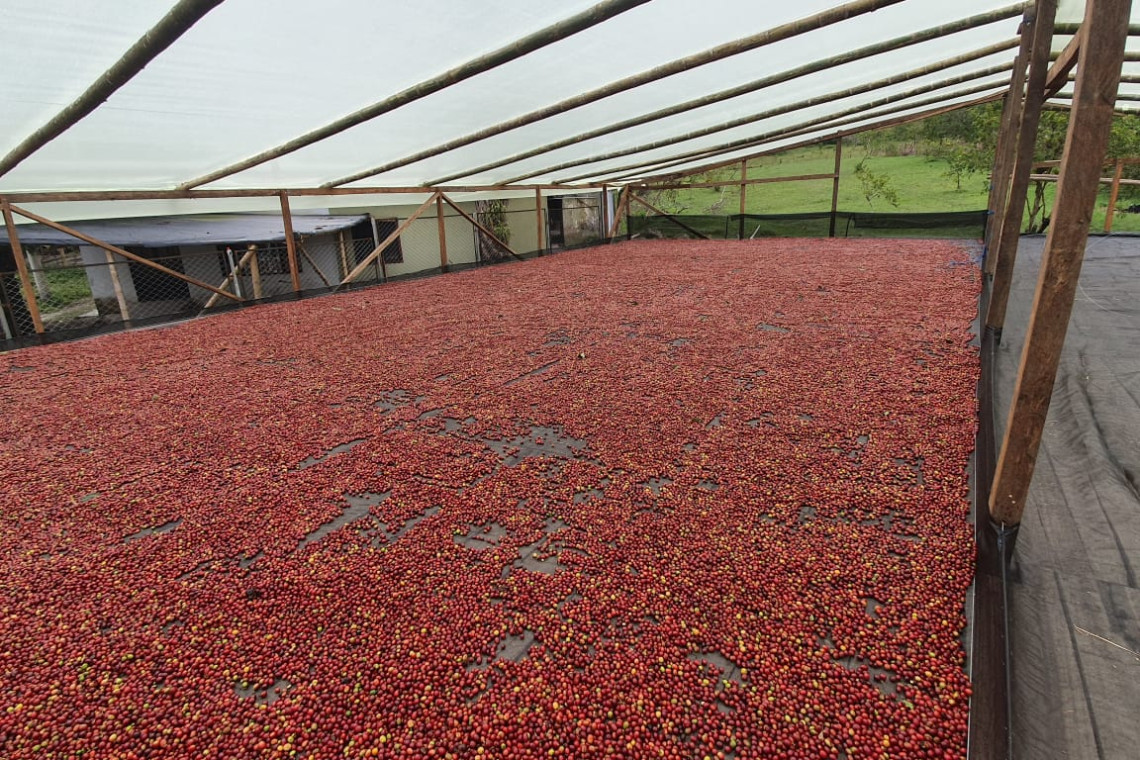 d866a8e3-be85-4da3-b83a-10a9e7ca1ba4