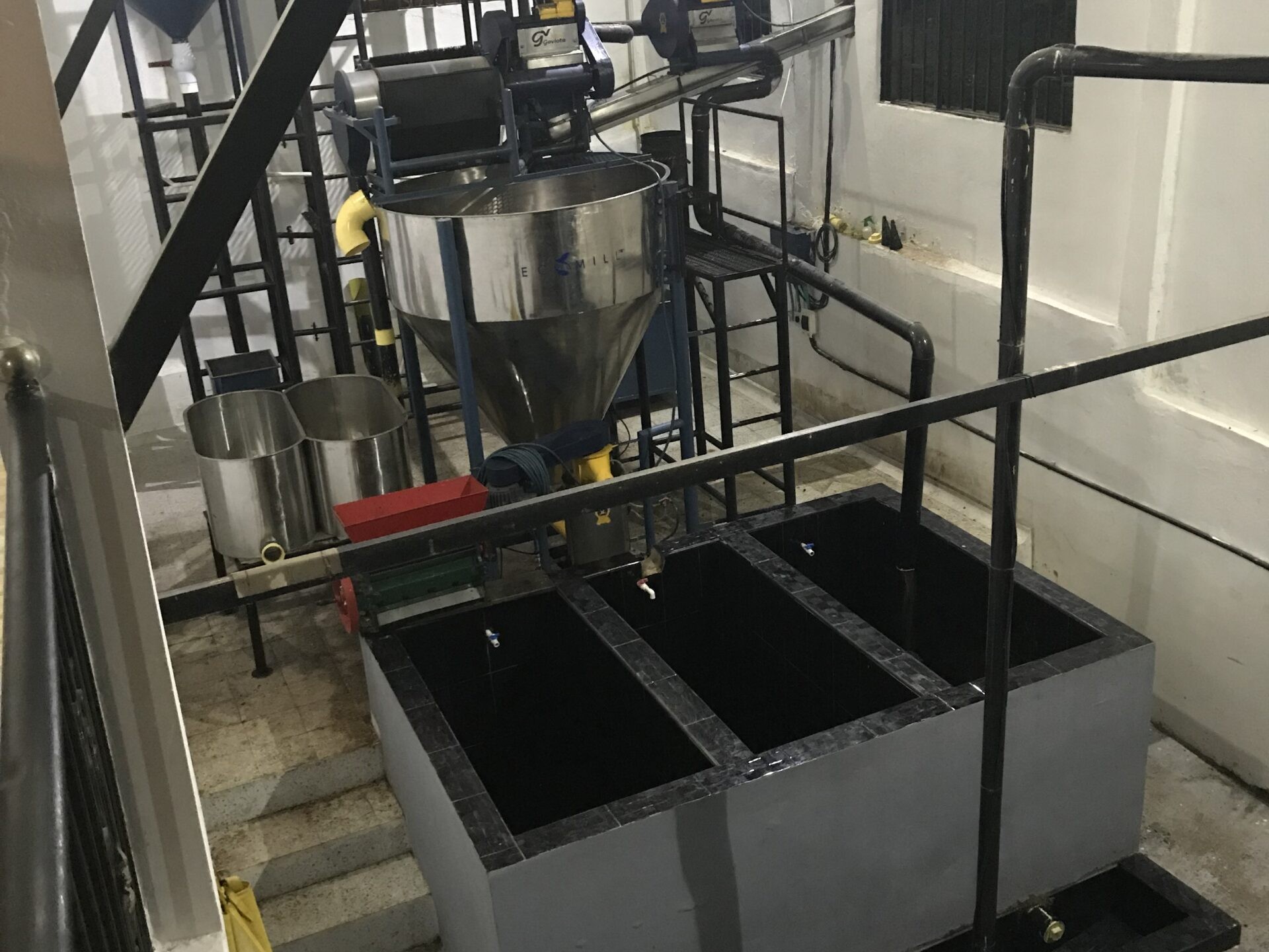 Primavera Elena Feb 2019 (7)